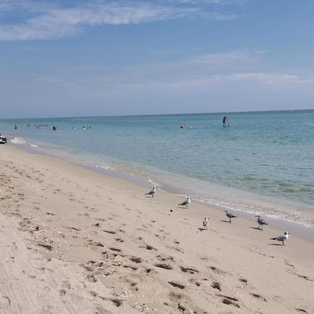 New Luxury Apartment 2Br 2Ba Direct Beach Access Hollywood Eksteriør bilde