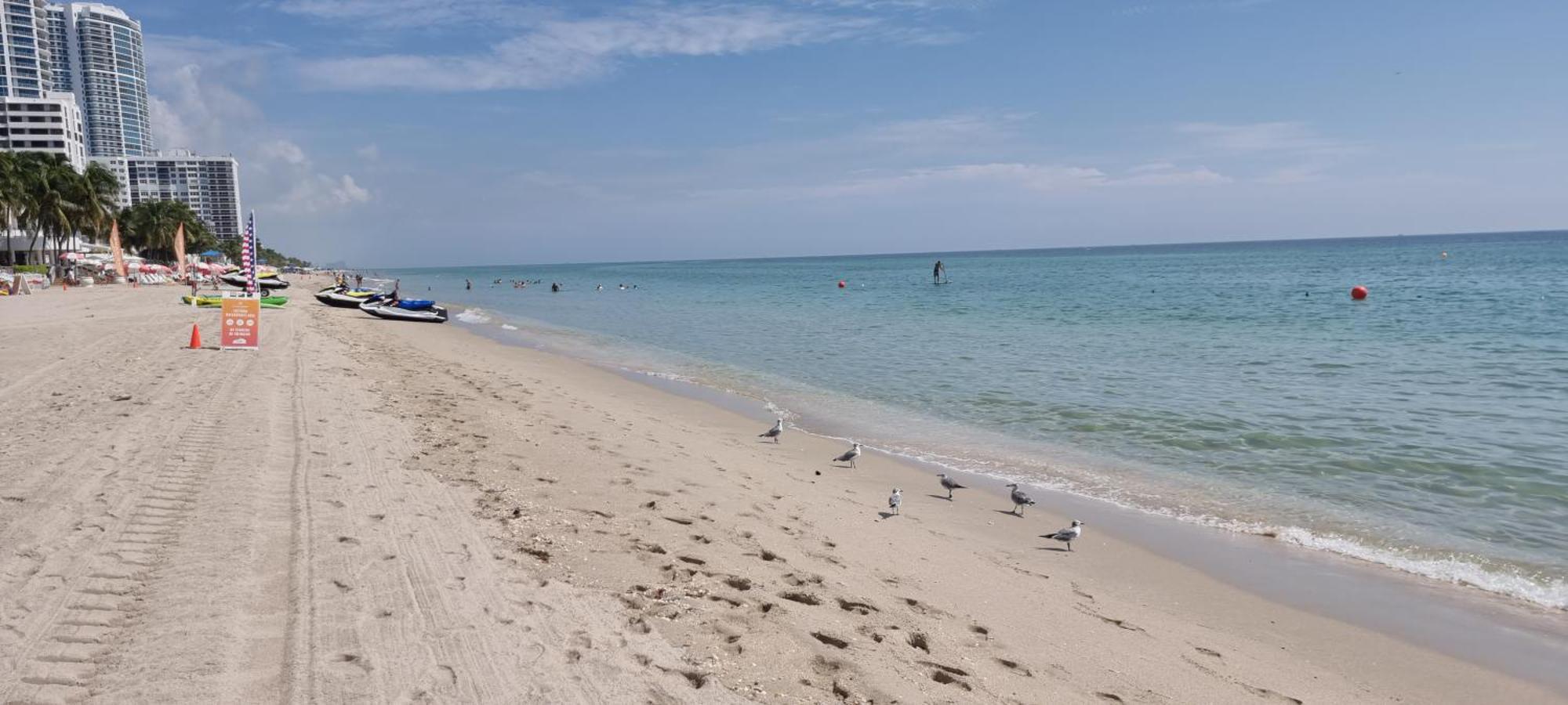New Luxury Apartment 2Br 2Ba Direct Beach Access Hollywood Eksteriør bilde